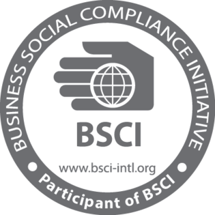 BSCI Logo