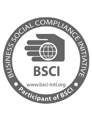 logo bsci system