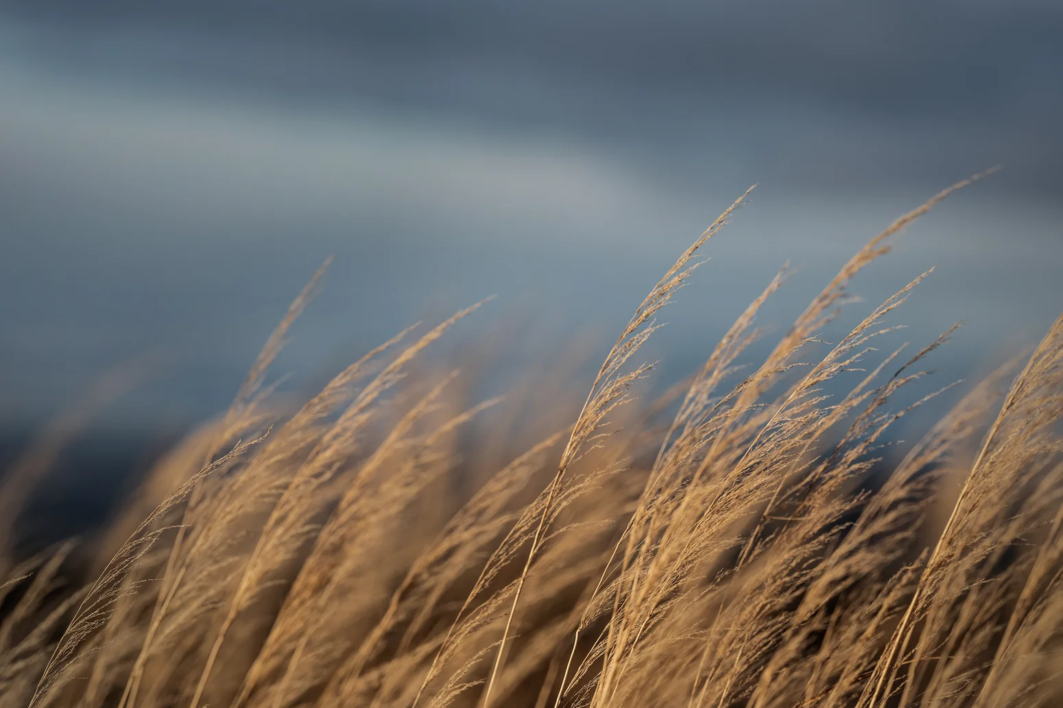 fristads_outdoor_wind