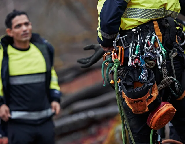 arboristi_trädakuten_fristads