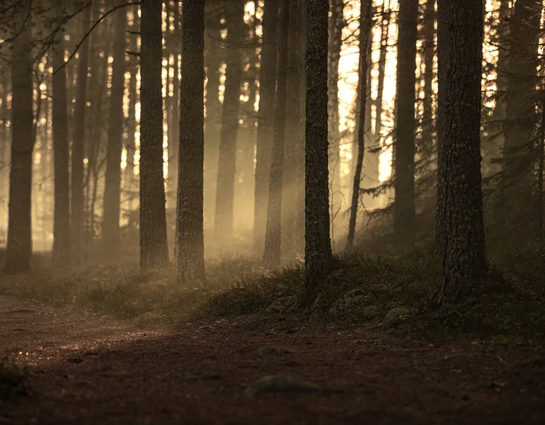 vårt_ansvar_vårt_hållbarhetsarbete_fristads