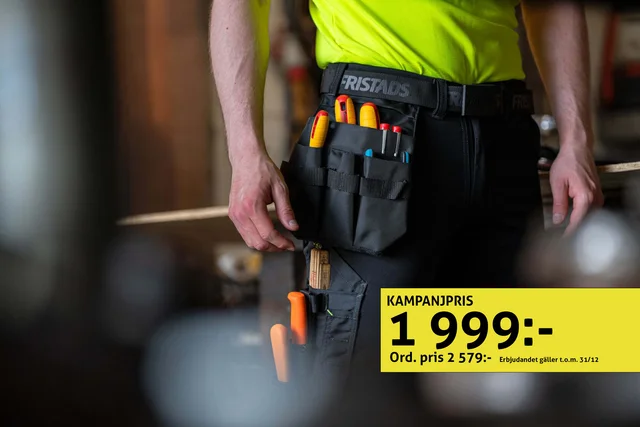 alnaryd_concepts_fristads_model