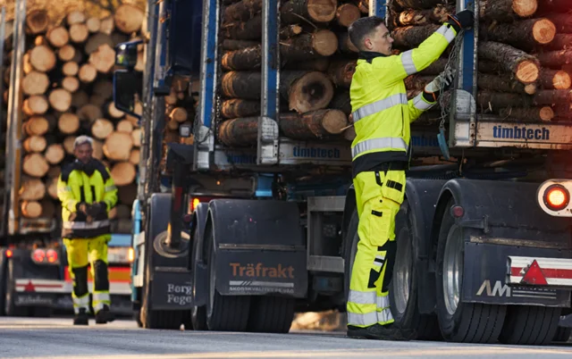 Dual Products Mobile Left Image