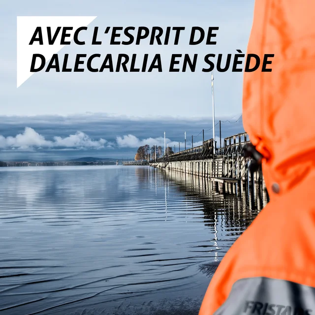 Avec l'esprit de Dalecarlia en Suède