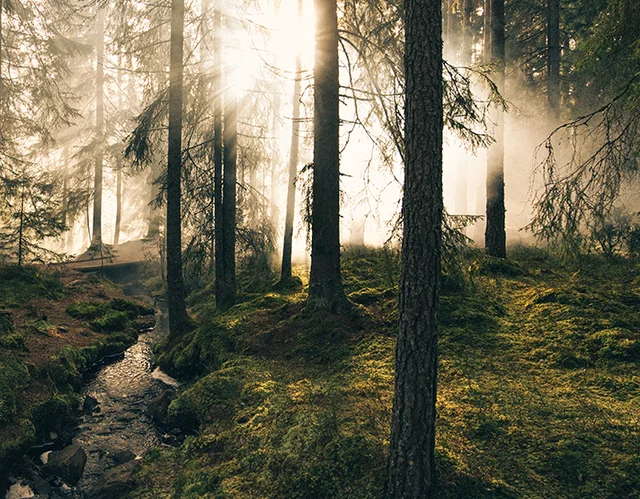 mix & match our news