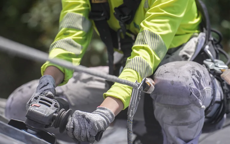 arboristi_trädakuten_fristads