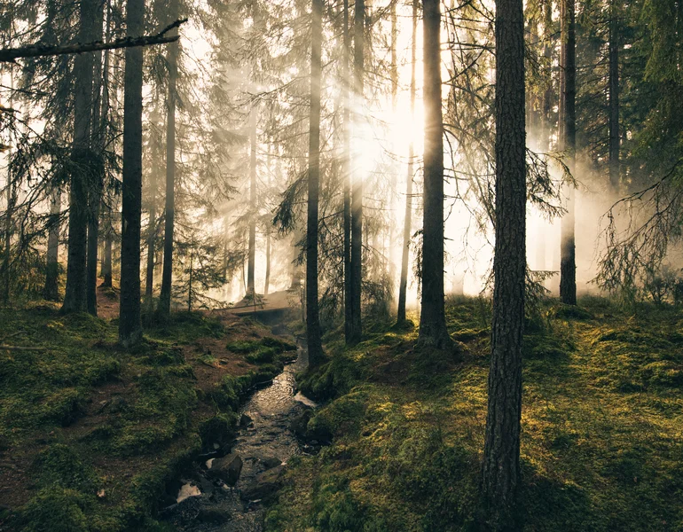 We nemen onze verantwoordelijkheid in de strijd tegen ongelijkheid en met het behoud van natuur.
